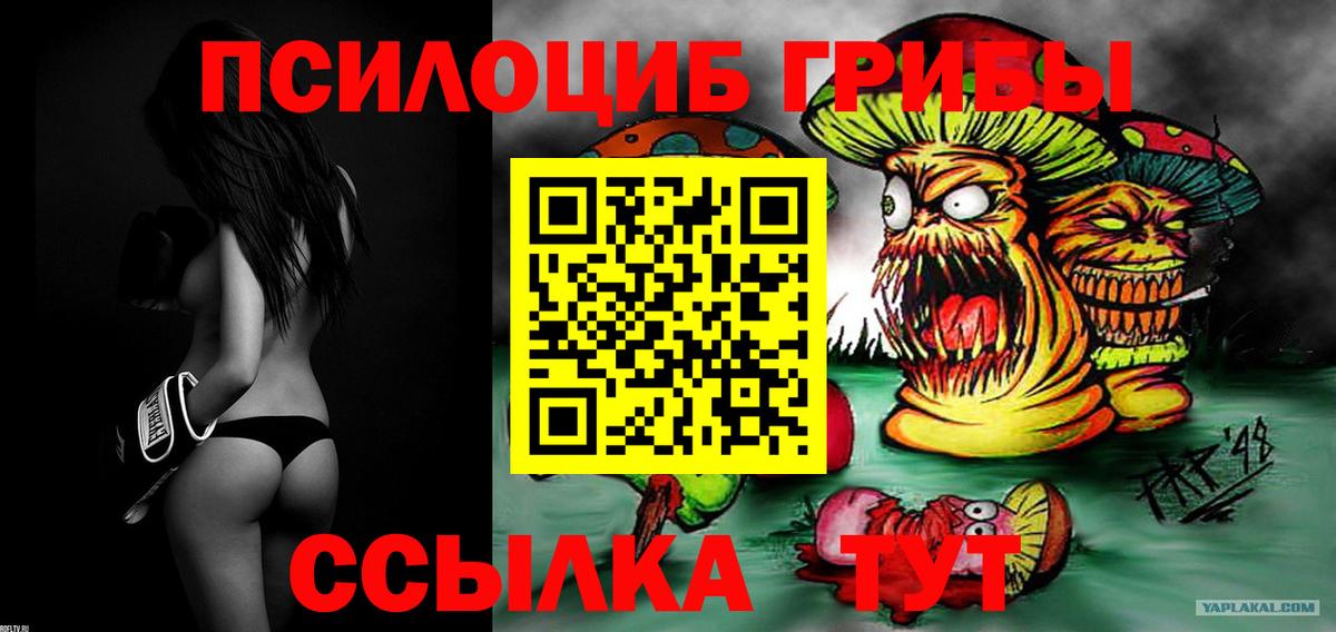 Муравленко  Псилоцибиновые грибы мухоморы  Вход с VPN 