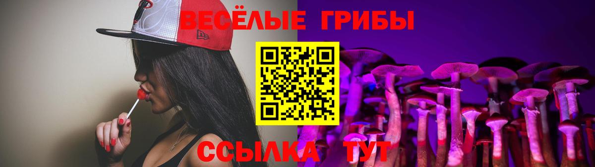 Псилоцибиновые грибы Magic Shrooms Муравленко